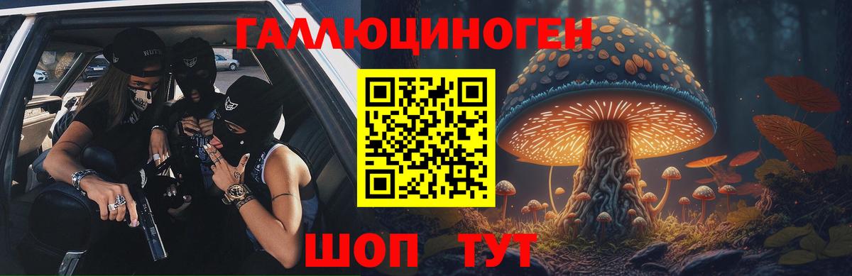 Псилоцибиновые грибы Psilocybe  как найти закладки  Звенигород  Вход с VPN 
